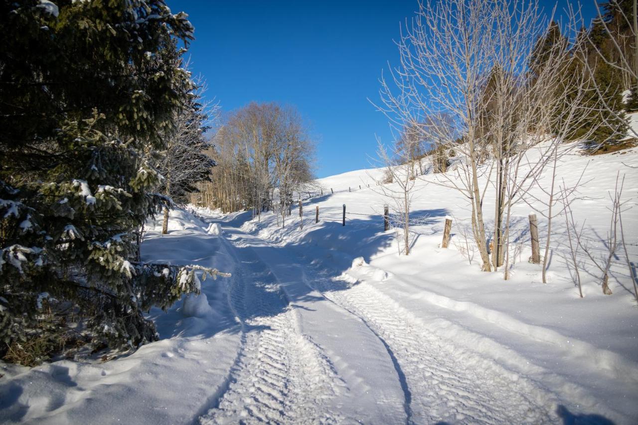 Chalet Sternwarte Hohentauern Εξωτερικό φωτογραφία